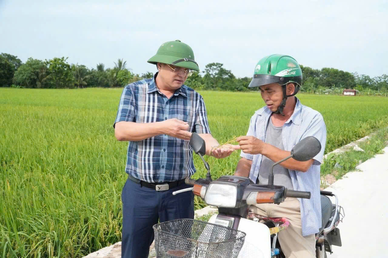 Quan trao đổi với người dân và đánh giá hiệu quả các mô hình sản xuất lúa xuân 2026 theo hướng cơ giới hóa, hữu cơ và giảm phát thải.