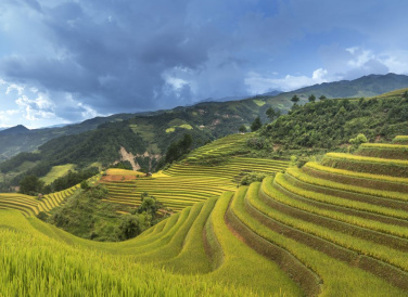Ruộng bậc thang Hà Giang 