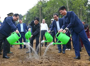 Chủ tịch nước Lương Cường trồng cây tại Công viên văn hóa Lào Cai sáng 23/2