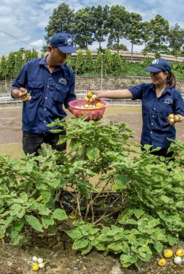 Tác phẩm Cho bữa cơm thêm xanh của tác giả Nguyễn Thái An (tỉnh Bà Rịa – Vũng Tàu) đạt giải ba
