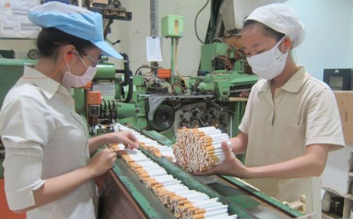 Dự thảo giấy phép sản xuất thuốc lá có thời hạn 5 năm