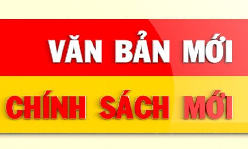 Chính sách mới có hiệu lực từ tháng 11/2020