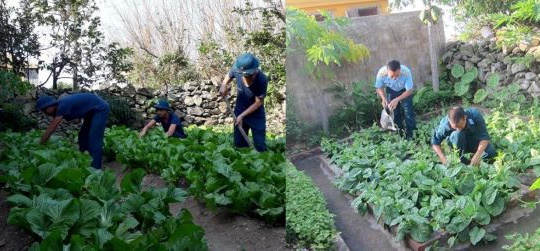 Tăng gia trên đảo Bạch Long Vỹ
