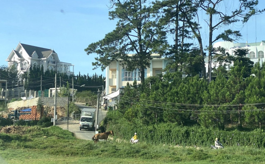 Lâm Đồng: Xử phạt hàng tỷ đồng với nhiều công ty khai thác khoáng sản trái phép