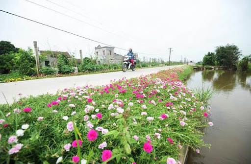 Cả nước phấn đấu vào cuối năm 2021 có khoảng 70% xã đạt chuẩn nông thôn mới