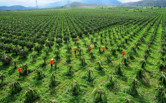 ''Nhóm lợi ích'' trong thực thi chính sách đất đai