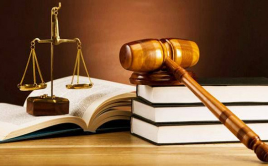 11 văn bản QPPL được ban hành trong tháng 5/2020