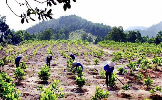 Chính sách, pháp luật về quản lý đất đai vùng Tây Nguyên: Thực trạng và khuyến nghị