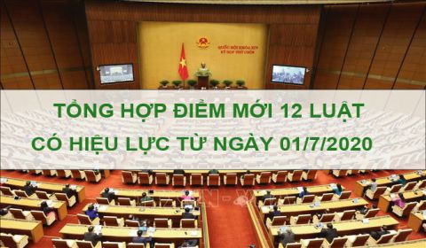 Tổng hợp điểm mới 12 Luật có hiệu lực  từ ngày 01/7/2020