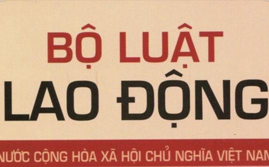 Đánh giá việc thi hành các quy định pháp luật về quan hệ lao động ở Việt Nam hiện nay