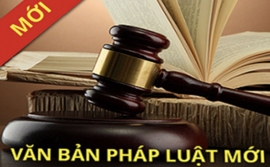 Bảo đảm tính thống nhất trong các văn bản pháp luật quy định về xử phạt vi phạm hành chính