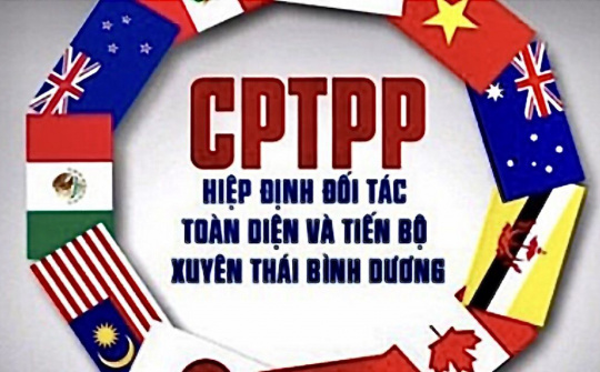Chính phủ ban hành Nghị định hướng dẫn về đấu thầu mua sắm theo CPTPP