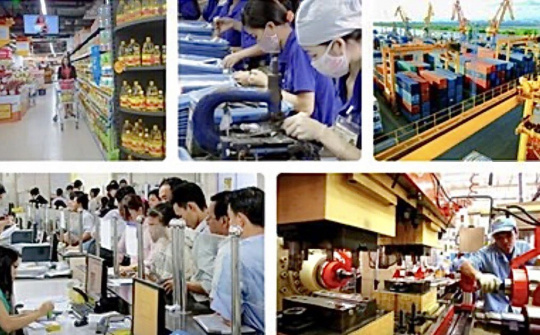 Bảo đảm hiệu quả tổ chức thi hành pháp luật liên quan đến việc thực hiện chức năng quản lý kinh tế của Nhà nước