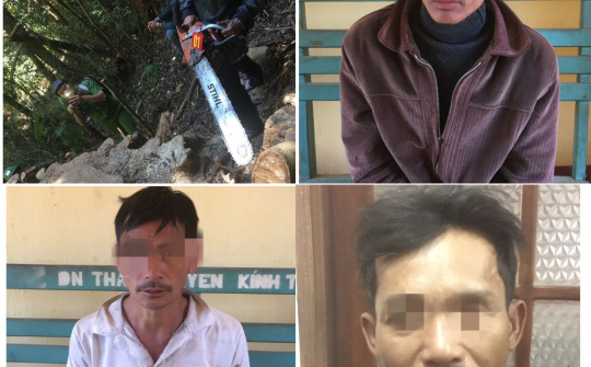 Lâm Đồng: Khởi tố, bắt giam các đối tượng phá rừng