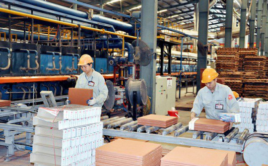 Kinh tế tư nhân - động lực quan trọng của nền kinh tế