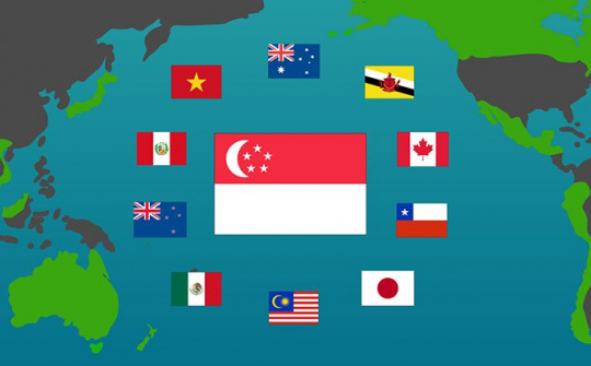 Tiêu chuẩn bảo hộ kiểu dáng công nghiệp trong CPTPP, EVFTA và yêu cầu đối với Việt Nam