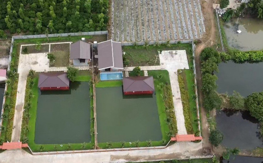 TP Buôn Ma Thuột (Đắk Lắk): Xây nhà trái phép, rao bán hàng tỷ đồng