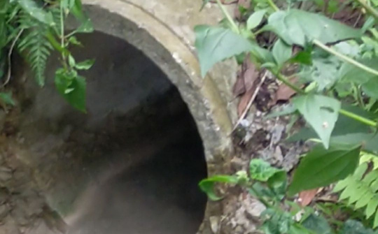 Thanh Hoá: Cần làm rõ việc xả thải ra môi trường từ trạm trộn bê tông liên doanh Việt-Nhật