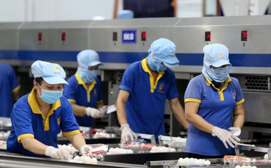 Đơn giản hóa các thủ tục để gói hỗ trợ từ Quỹ Bảo hiểm thất nghiệp đến tay người thụ hưởng