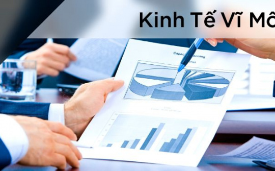 Mô hình hoạch định chính sách