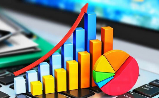 Trích dẫn không rõ nguồn thông tin thống kê sẽ bị phạt đến 1 triệu đồng