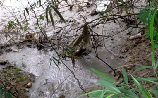 Thanh Hoá: Kiểm tra môi trường tại Trạm trộn bê tông liên doanh Việt – Nhật