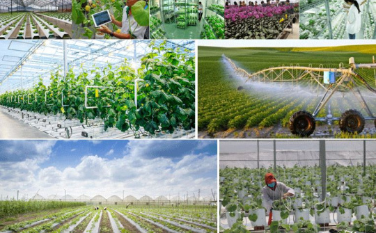 Hoàn thiện chính sách và tạo lập tiền đề phát triển nông nghiệp công nghệ cao ở Việt Nam