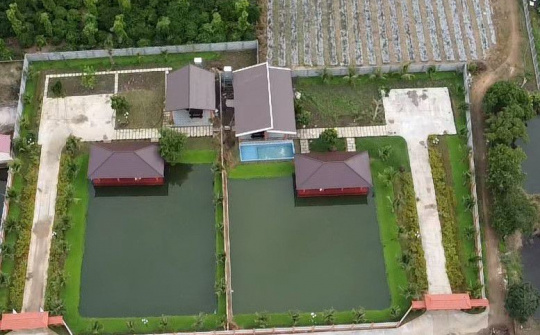 TP Buôn Ma Thuột: Xử phạt và buộc khôi phục hiện trạng  về xây nhà trái phép trên đất nuôi trồng thuỷ sản