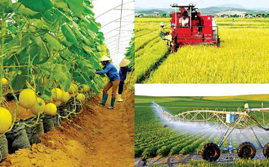 Hoàn thiện chính sách, giải pháp để phát triển nông nghiệp, nông thôn bền vững