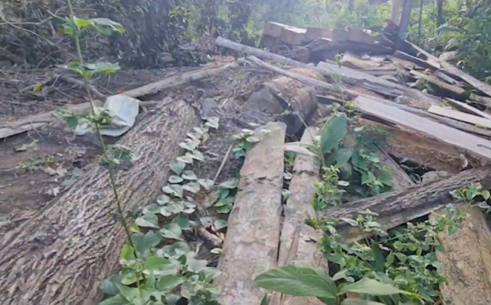 Chi cục Kiểm lâm Đắk Lắk chỉ đạo xử lý nghiêm về việc phát hiện lò than ngay trong rừng