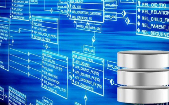 Hành lang pháp lý về dữ liệu số gần như bị bỏ trống