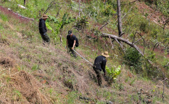 Lâm Đồng: Xác minh vụ phá rừng, lấn chiếm đất rừng tại Tiểu khu 267C