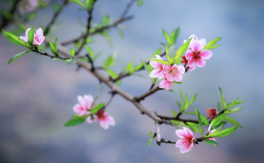 Xây chắc những niềm tin