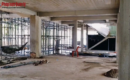 Công ty CP Sao Thái Dương có cố tình xây dựng trái phép trụ sở văn phòng tại TPHCM không (?)