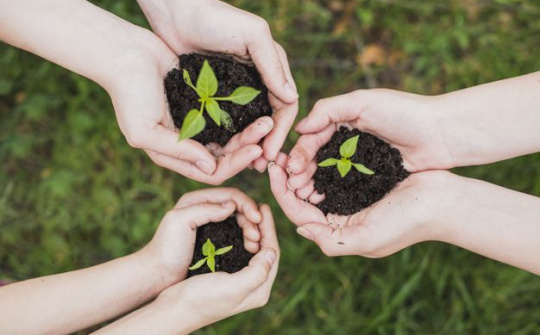 Thủ tướng Chính phủ ban hành Kế hoạch triển khai thi hành Luật Bảo vệ môi trường