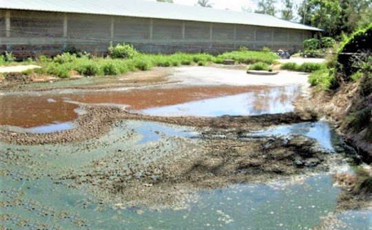 Từ tháng 4/2021: Vi phạm chất thải trong chăn nuôi sẽ bị xử phạt tới 20 triệu đồng