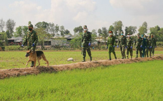 An Giang: Xử lý nghiêm các tổ chức, cá nhân có hành vi đưa người nhập cảnh trái phép