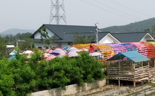 Thanh Hóa: Huyện chỉ đạo một đằng, xã thực hiện một nẻo – Yêu cầu kiểm điểm trách nhiệm cá nhân và tập thể liên quan