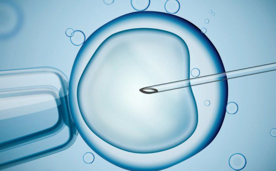 Bộ Y tế yêu cầu xử lý nghiêm tình trạng vi phạm trong hỗ trợ sinh sản