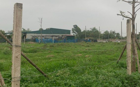Tranh cãi về phân lô bán nền: Cấm hay phát triển, phải làm sao cho vừa?