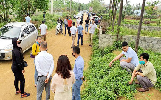 Minh bạch thông tin để trị "sốt đất"