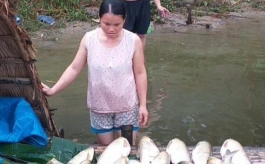 Thanh Hóa: Sẽ xem xét khởi tố hình sự nếu phát hiện đơn vị gây ô nhiễm nước sông Mã