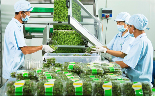 Nâng cao hiệu quả chính sách tín dụng góp phần thúc đẩy phát triển kinh tế tư nhân ở Việt Nam hiện nay