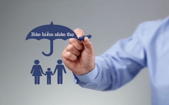 Chế độ tài chính của doanh nghiệp bảo hiểm nhân thọ tại Việt Nam