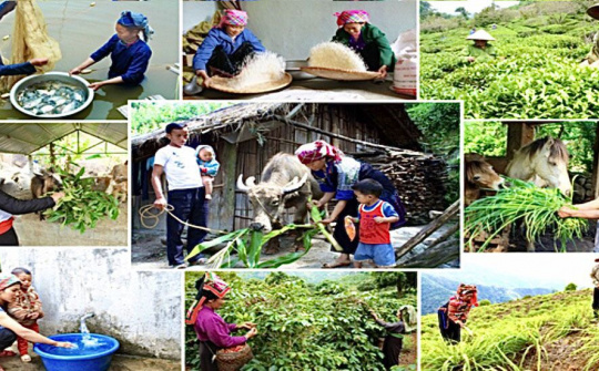 Cương quyết loại bỏ những chính sách không phù hợp để kiến tạo tương lai