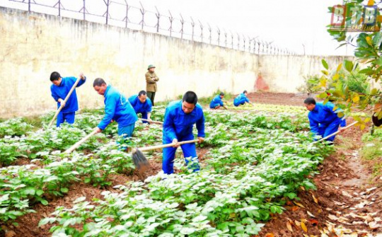 Không để 'khoảng trống' trong quản lý người nghiện ma túy