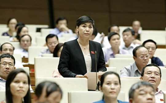 Một góc nhìn về thực tiễn phản biện xã hội tại Việt Nam hiện nay