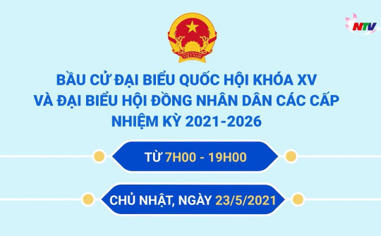 Hướng dẫn bỏ phiếu Bầu cử Đại biểu Quốc hội khoá XV và HĐND các cấp nhiệm kỳ 2021-2026