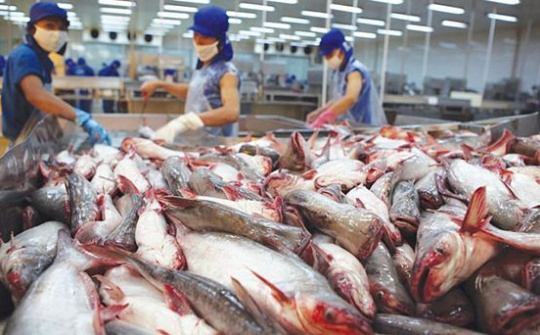 Kiểm dịch thủy sản: Luôn ghi nhận ý kiến và tạo thuận lợi cho Doanh nghiệp