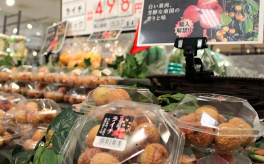 Giải pháp kiểm soát tình hình nông sản ùn ứ, giữ vững thị trường xuất khẩu trước đại dịch COVID-19